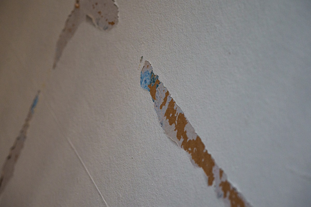 Flood Cleanup service in Albany, OR